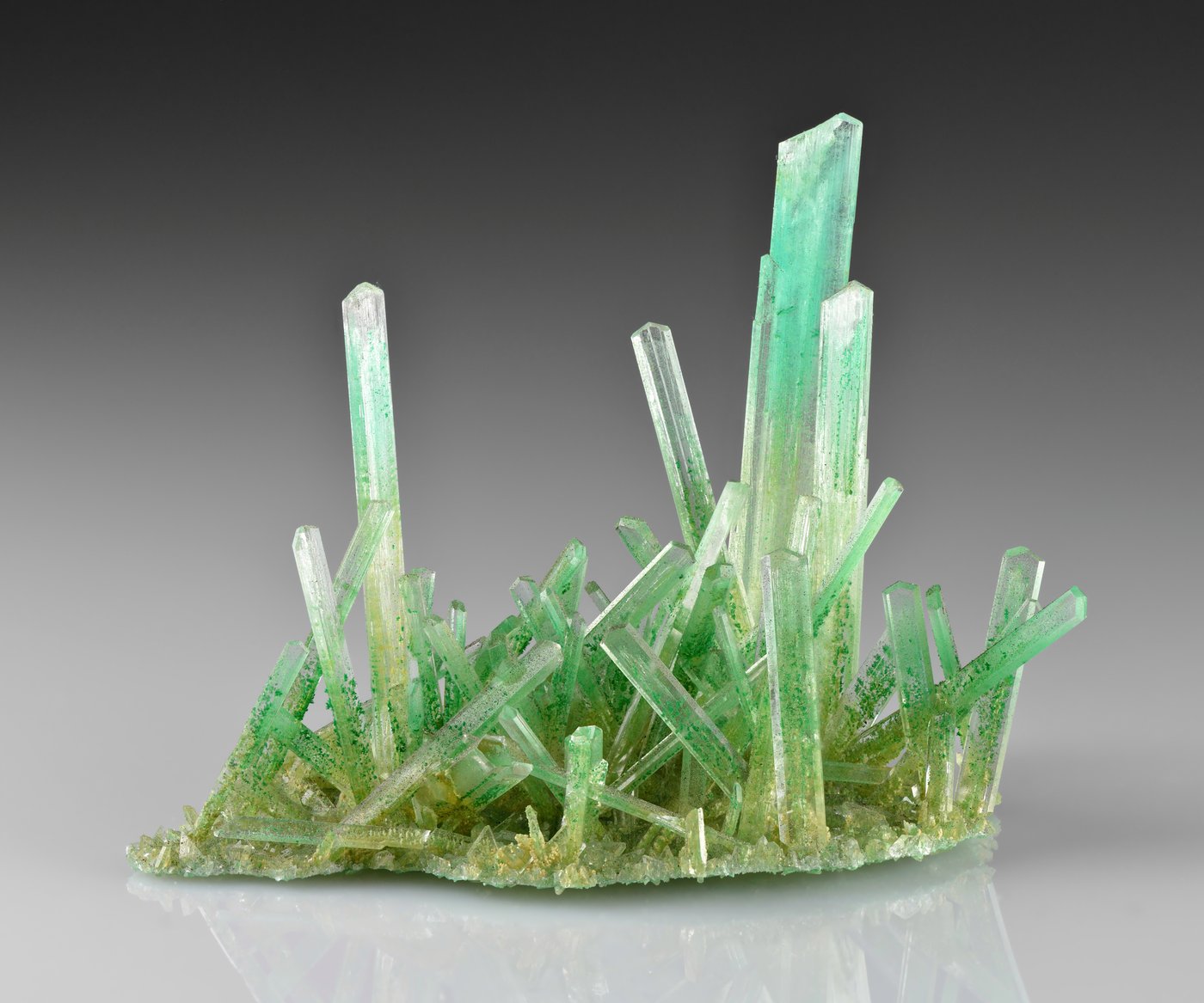 Gypsum (calcium sulfate) — the most common brewing salt, added to water to raise calcium and sulfate for crisp, hop-forward beers.
