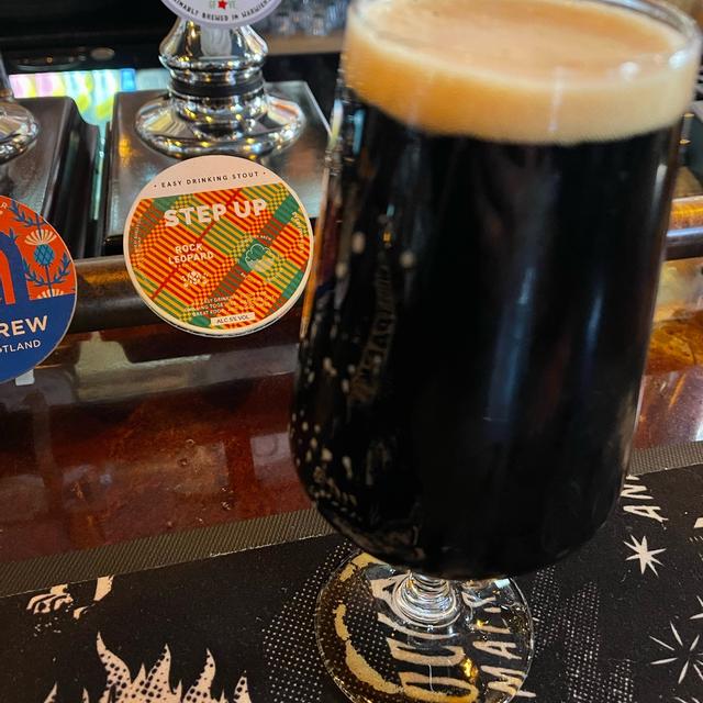 A stout — the roasty, near-black end of the colour scale, built on roasted barley and dark malts.